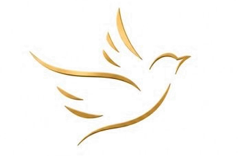 EverNest Home Services logo